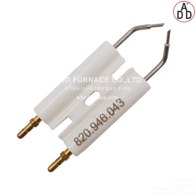 Riello Electrode 3007617(1)